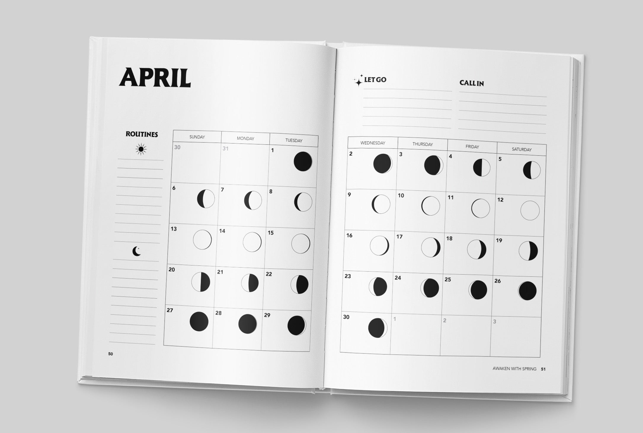 The Ayurveda Lifestyle Planner 2026